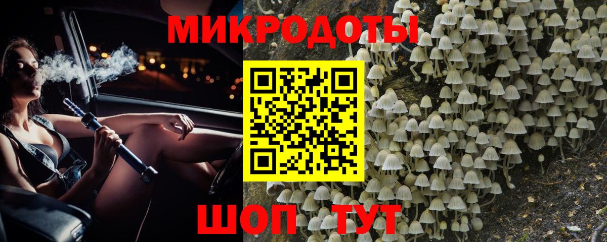 Псилоцибиновые грибы Psilocybine cubensis  Вход с VPN  Псилоцибиновые грибы мицелий  Советский 